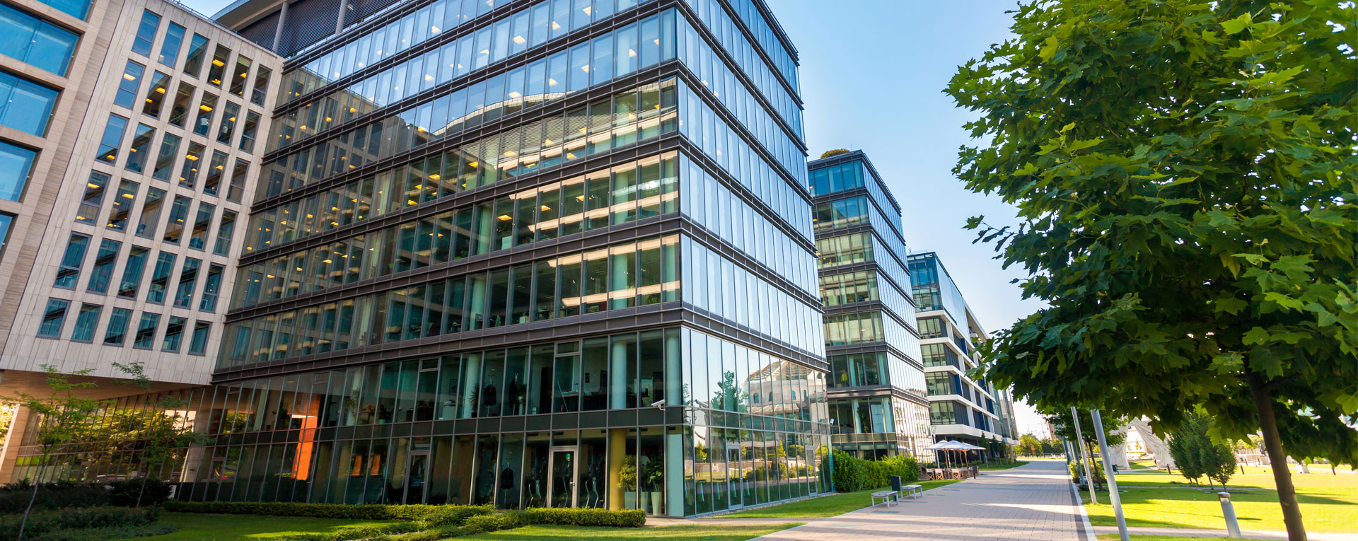 Avrupa Temper Temperli Cam Üretim Hattı